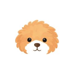 Boni app logo — a friendly dog mascot